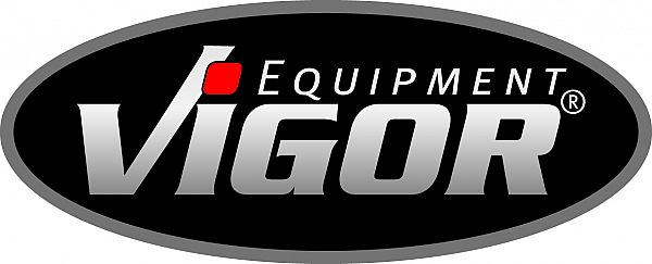 VIGOR logo