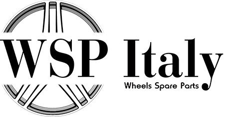 WSP ITALY logo