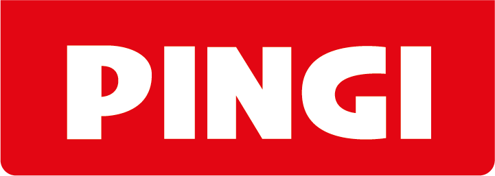 PINGI logo